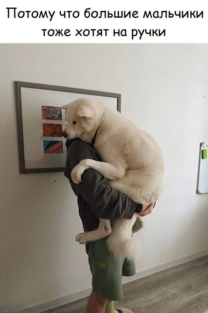 Открытые источники