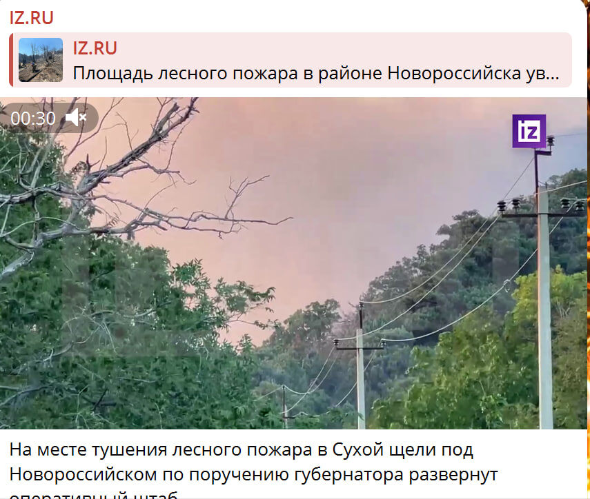    Скриншот: IZ.ru/Telegram