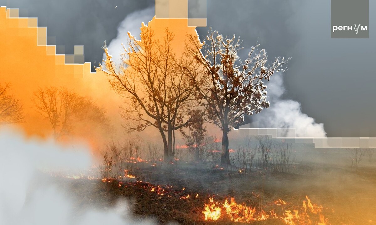    © ИА Регнум