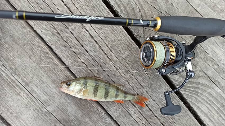 Рыбалка в пасмурное утро 