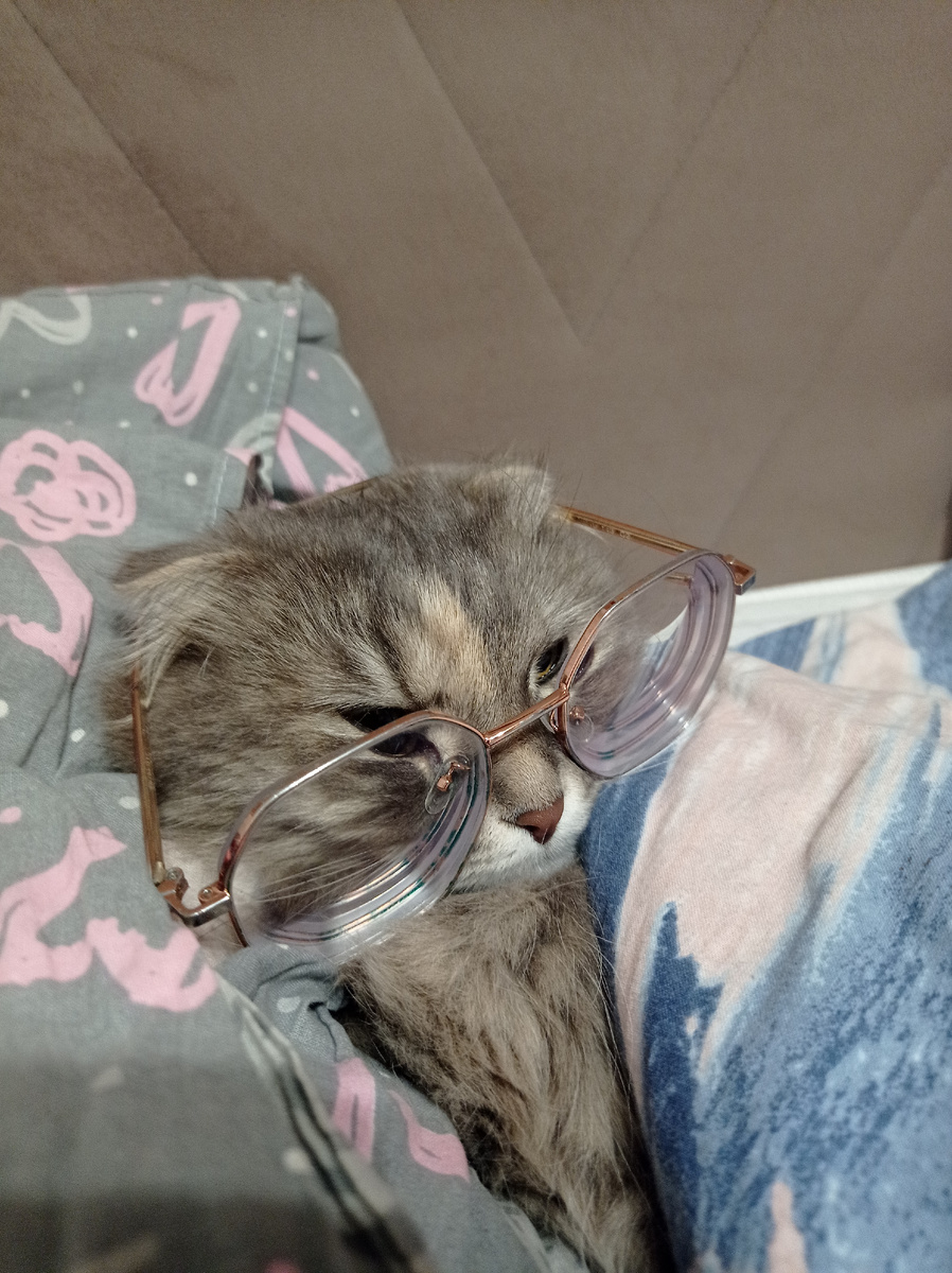 А ну брысь из моего личного пространства😾