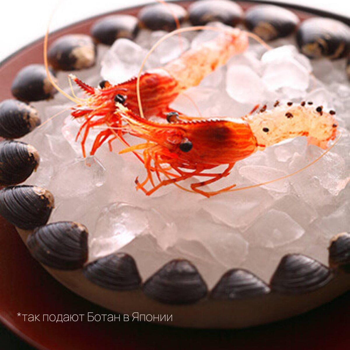Как подают креветку ботан в Японии