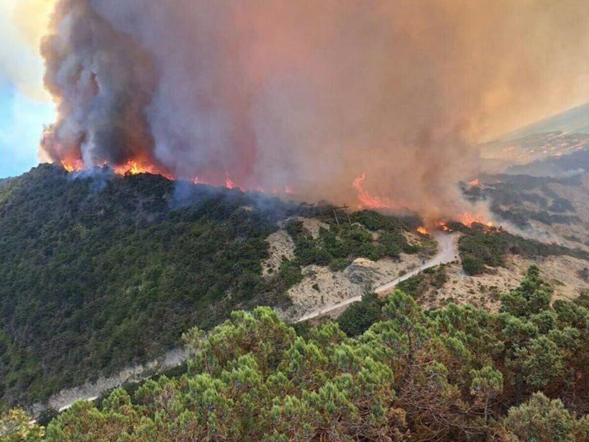    Лесной пожар в районе хутора Дюрсо на Кубани© Фото : соцсети