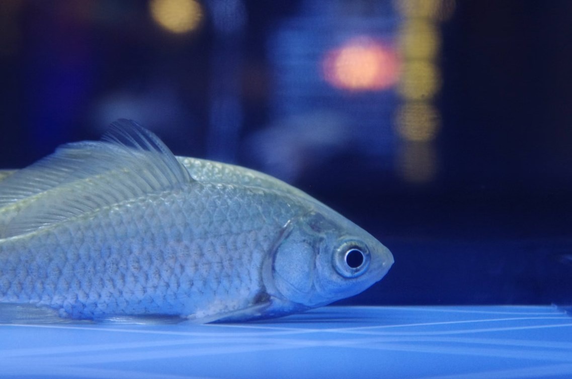 Фото unsplash.com