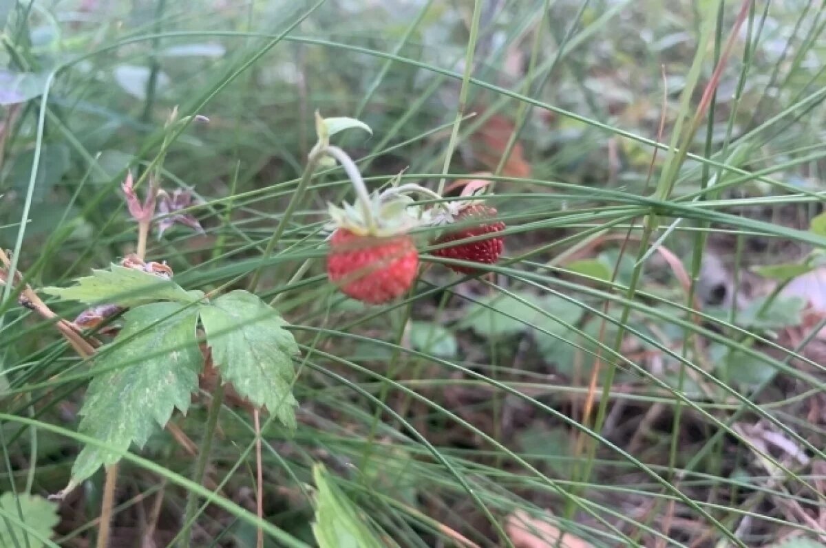    В Татарстане вновь продлили штормовое предупреждение