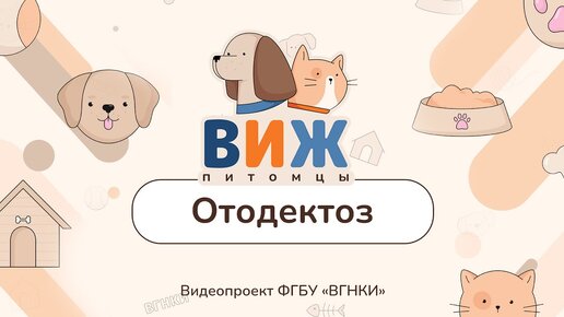 Ветврач рассказала о частой болезни собак и кошек, которую переносят чесоточные клещи