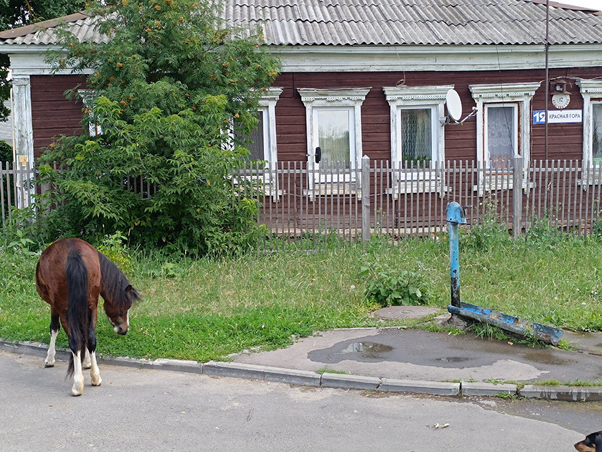 Соборная гора - самая вершина