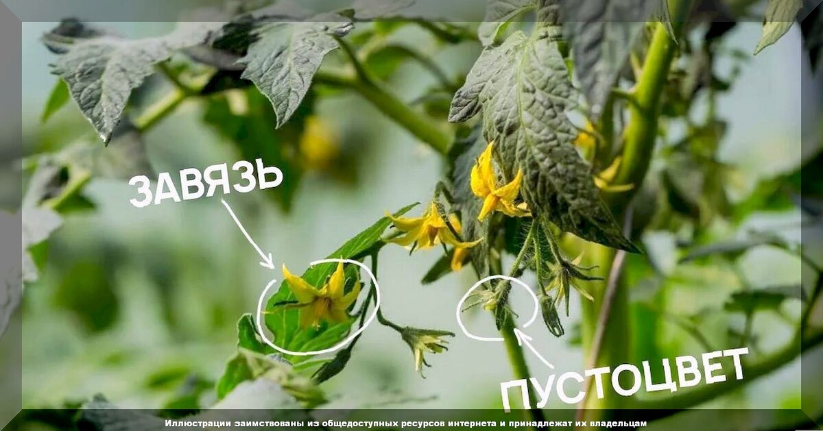 https://vk.com/photo-159774511_457266341