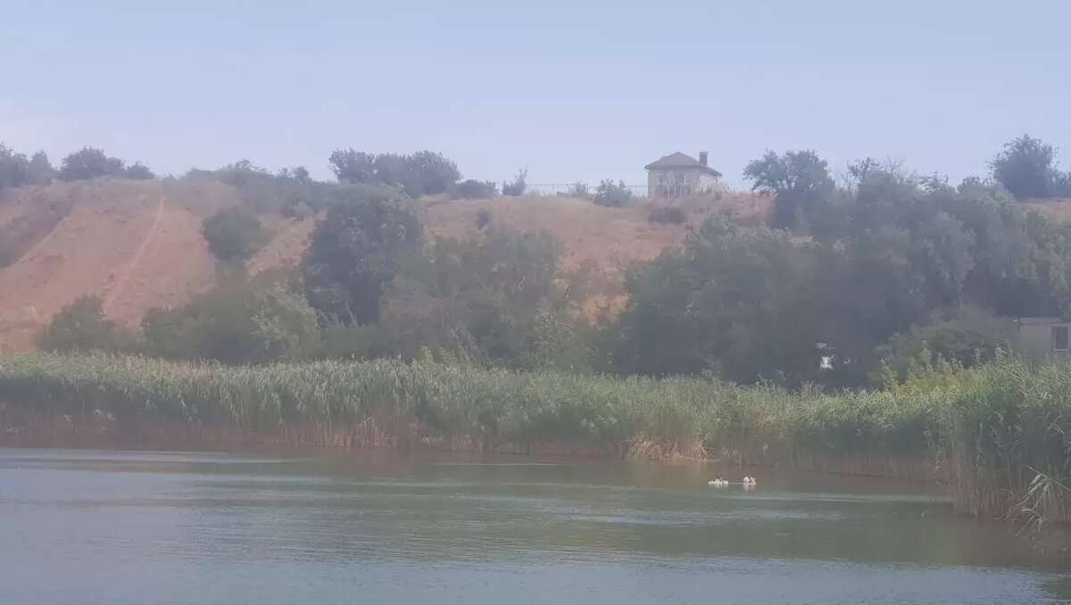     Источник: rostovgazeta.ru