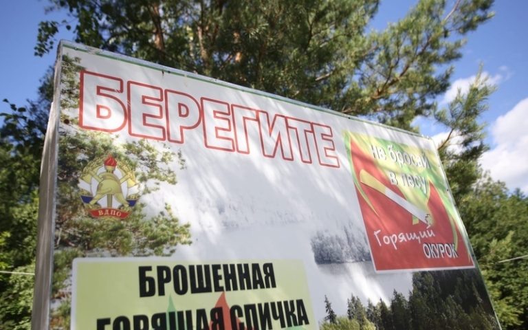 К жителям и гостям Мордовии обратились представители регионального Минлесхоза. Сообщается, что в республике продлено ограничение на посещение лесов — с 15 по 25 июля включительно.