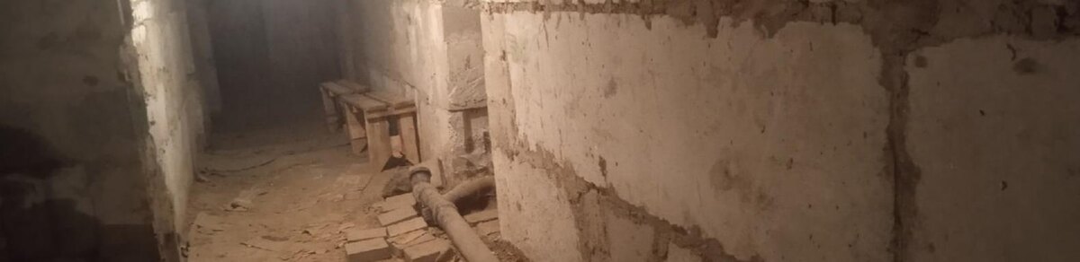    Фото: Сергей Егоров