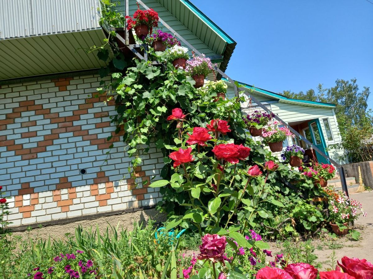 Фото автора