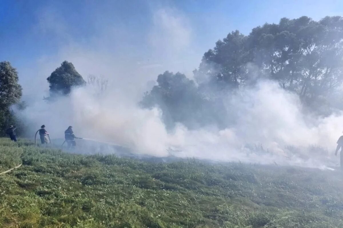    В Кошкинском районе сгорело поле