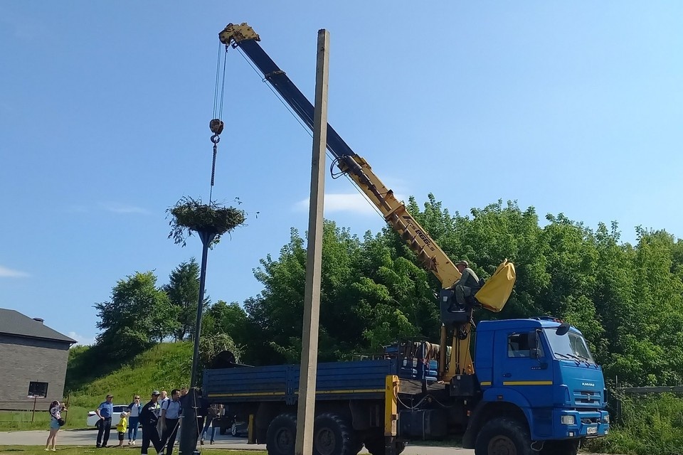    Установка опор – дело непростое. Создатели гнездовий постарались, чтобы новые квартиры были надежными, безопасными и уютными.