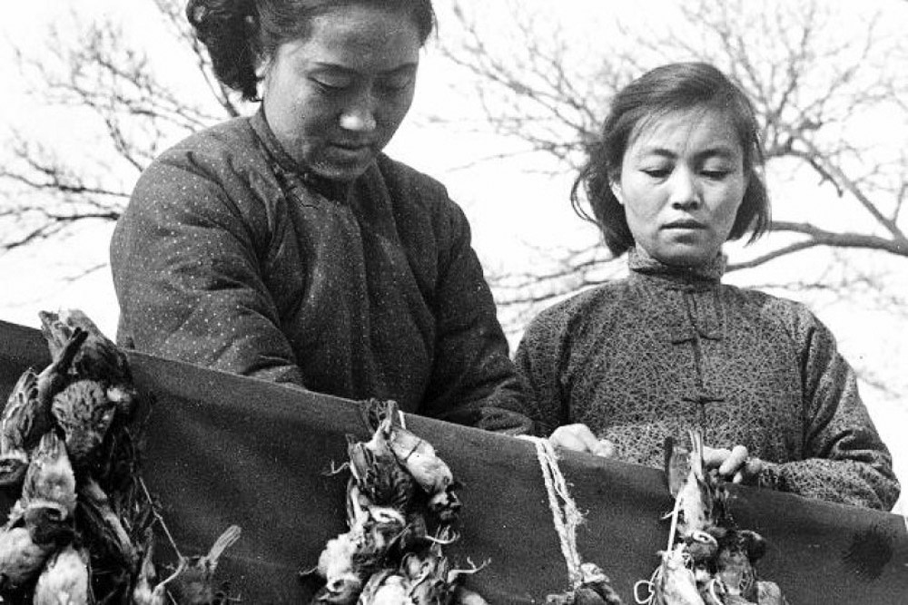 В конце 1950-х годов с амбициозной целью быстрого преобразования, Китая из аграрного общества превратился в индустриально - развитую социалистическую страну.-2