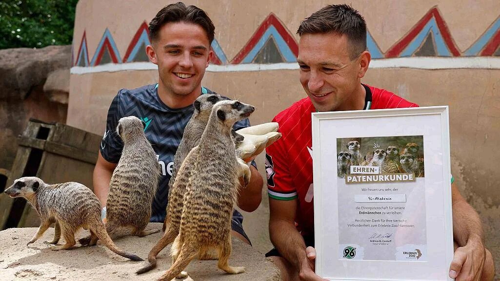 Как написали в релизе, такая сделка имеет важное региональное значение