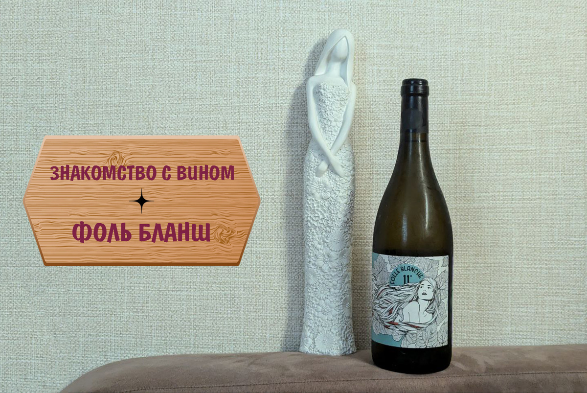 Французское вино Gros Plant sur lie Huteau Boulanger