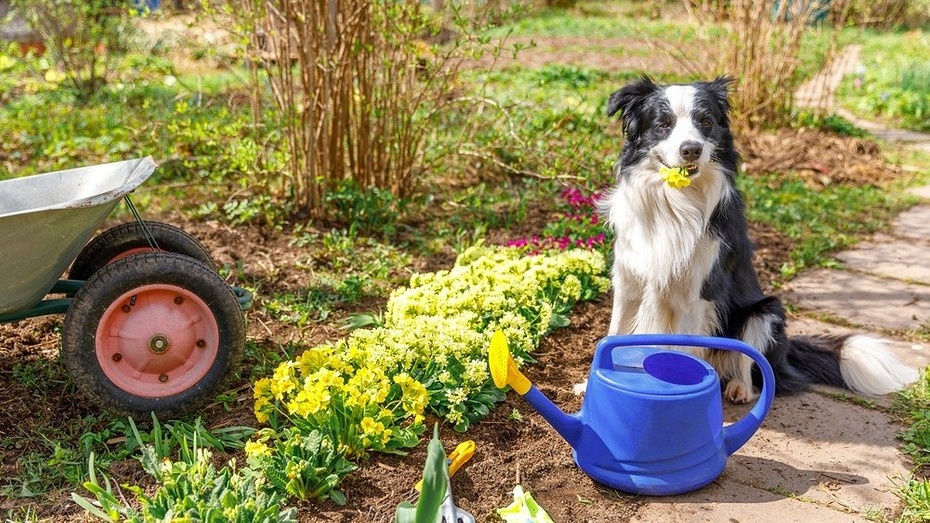 ShutterStock/Fotodom.ru 