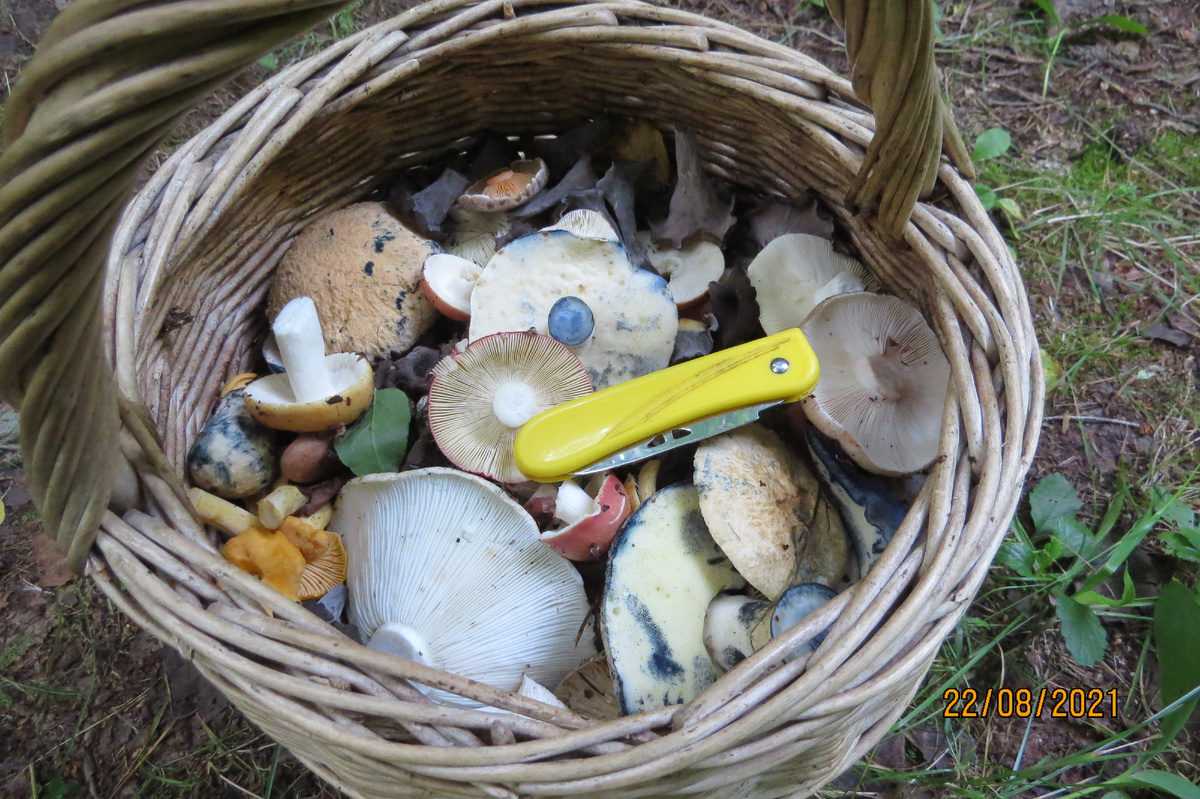 Фото Лидии Бам.