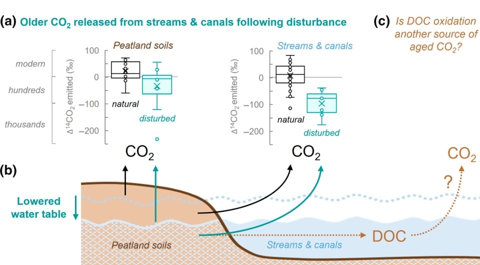   Jennifer Bowen et al. / Global Change Biology, 2024