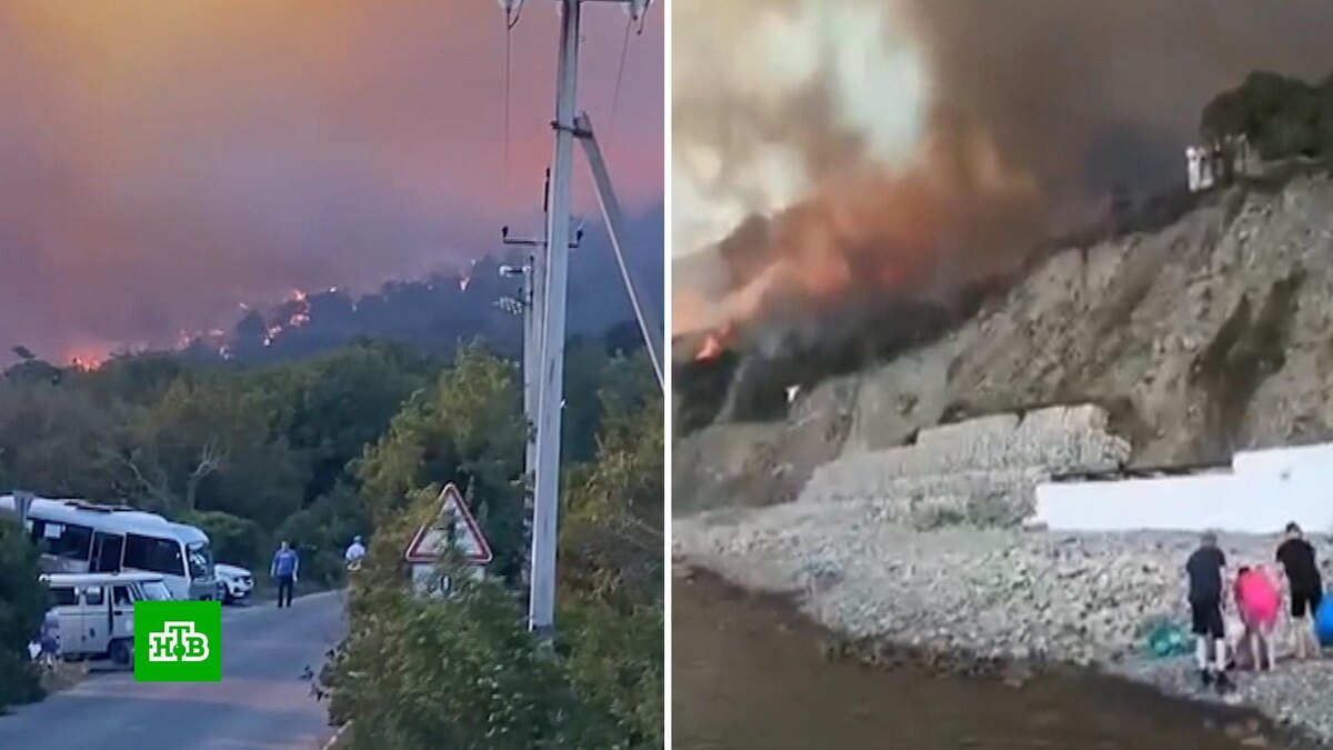    Пожар в популярной курортной зоне Новороссийска: хроника стихийного бедствия