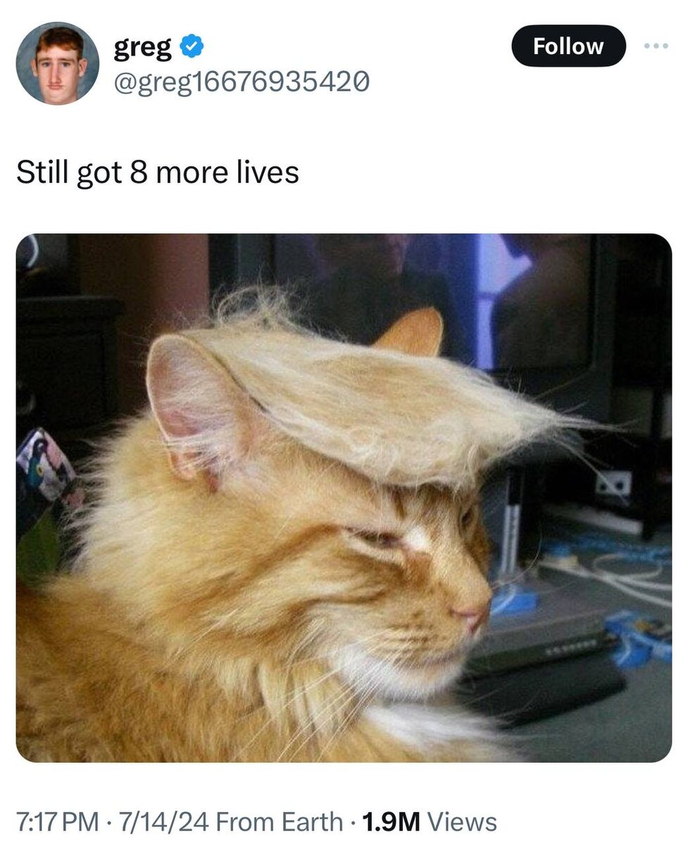 Ещё 8 штук осталось...