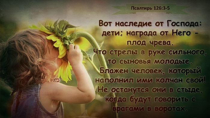 Любые инциденты, связанные с домашним насилием, противоречат Божественному замыслу.-3