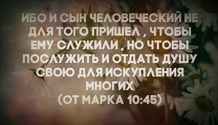 Любые инциденты, связанные с домашним насилием, противоречат Божественному замыслу.-4