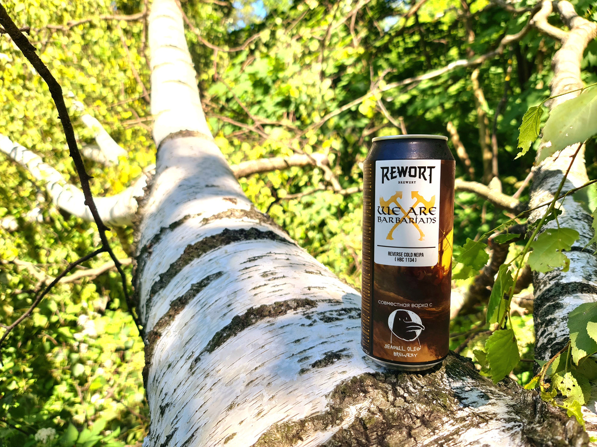 We Are Barbarians, фото автора