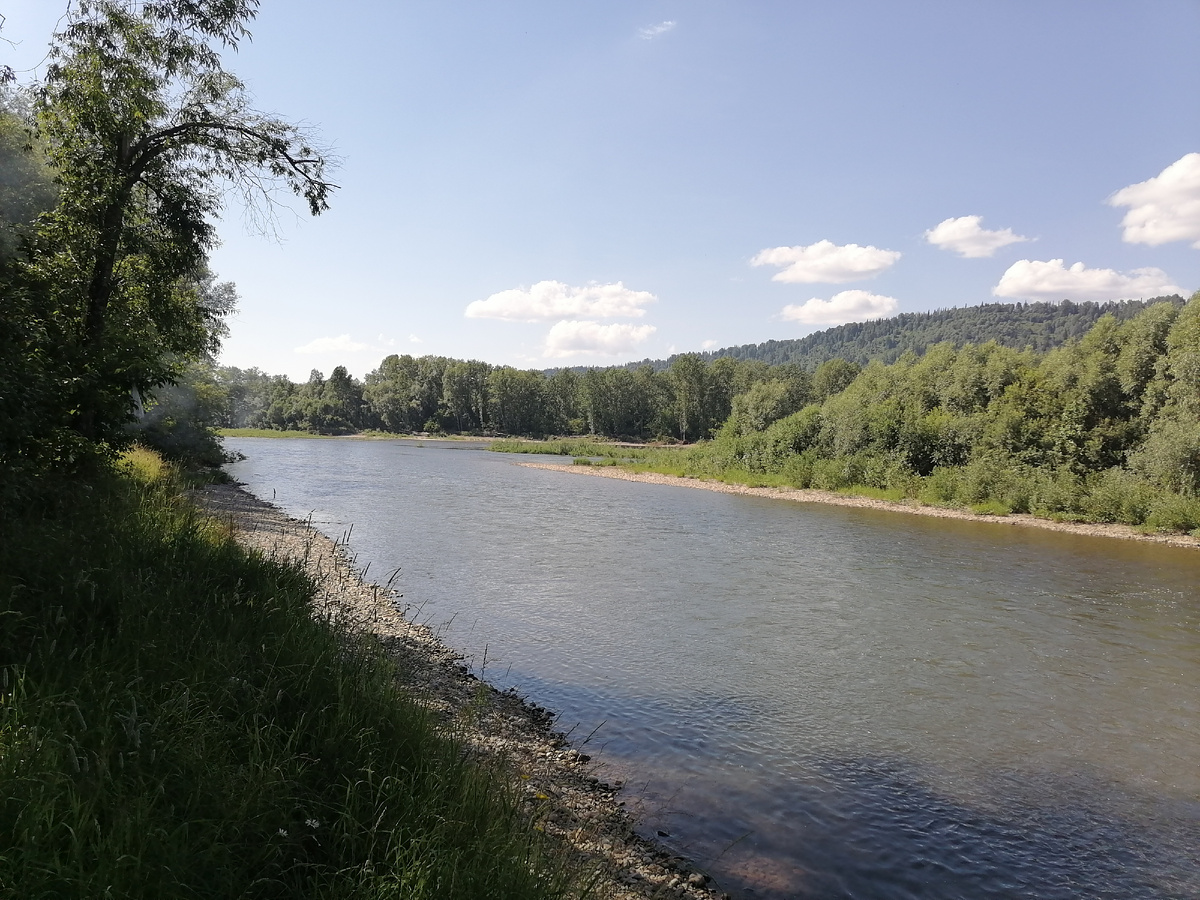 Место, где я видела его в последний раз