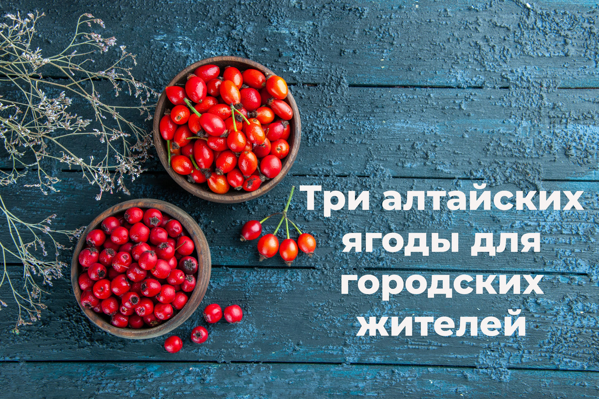freepik.ru
