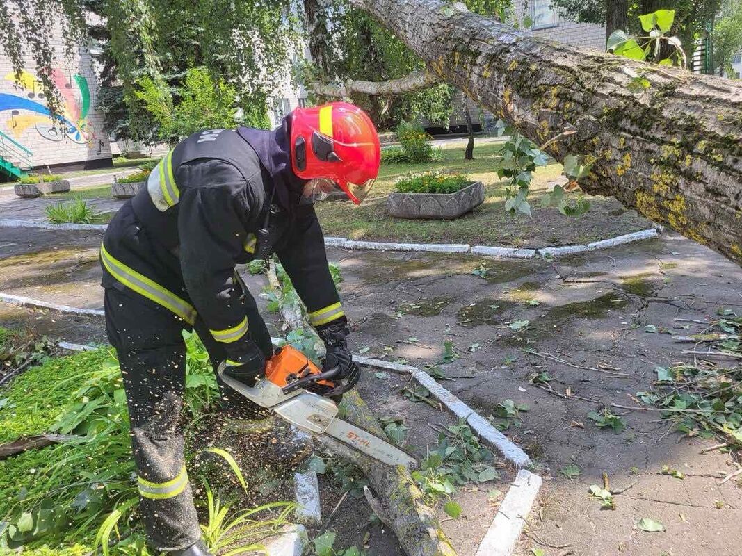 В Гомельской области продолжаются работы по устранению последствий урагана,  пронесшегося по региону 14 июля | SB.BY | Дзен