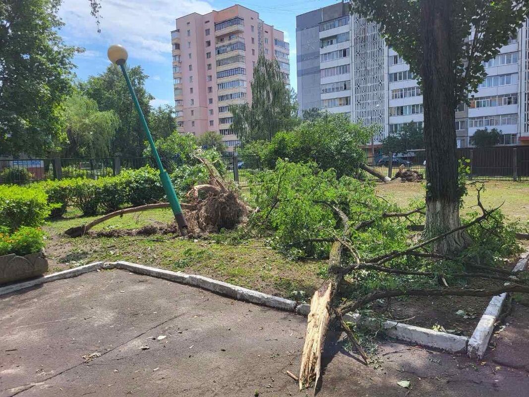 В Гомельской области продолжаются работы по устранению последствий урагана,  пронесшегося по региону 14 июля | SB.BY | Дзен