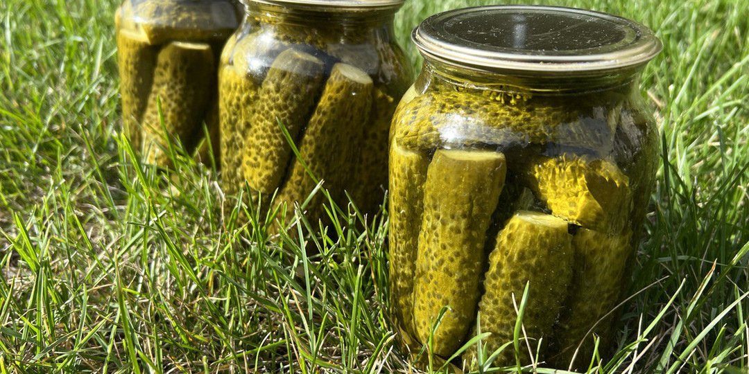 Огурцы на зиму: хрустящие, сладкие и вкусные. Закрываю по этому рецепту уже шестой год. Вкуснее для меня нет