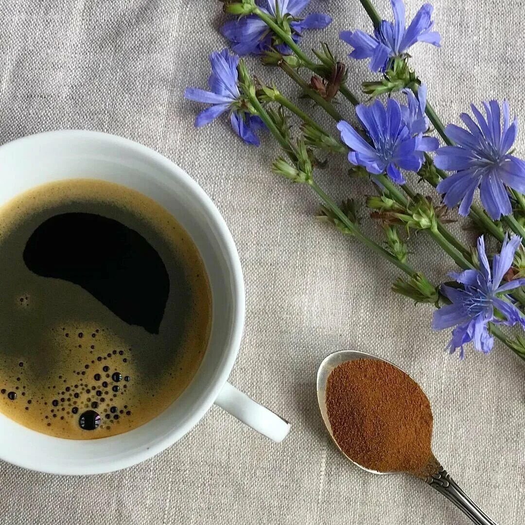 Заваренный и обжаренный цикорий 