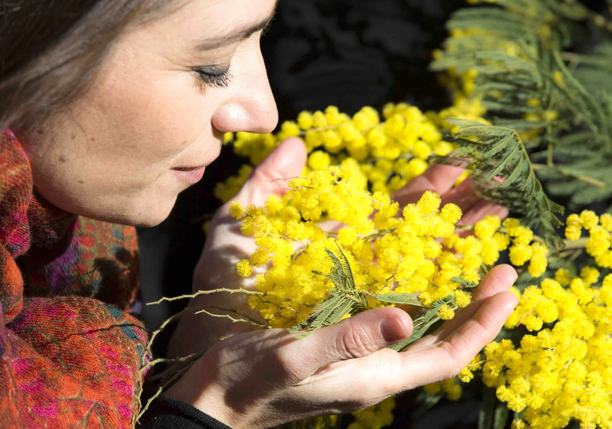 Из свободных источников