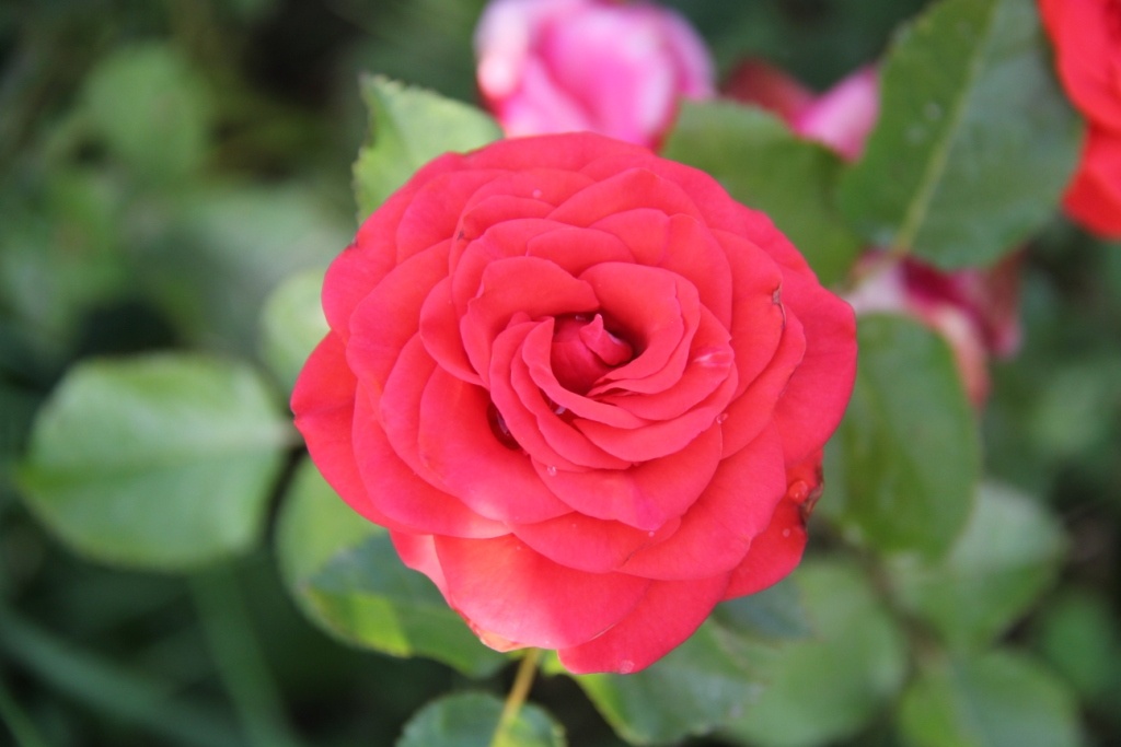 Для настроения)