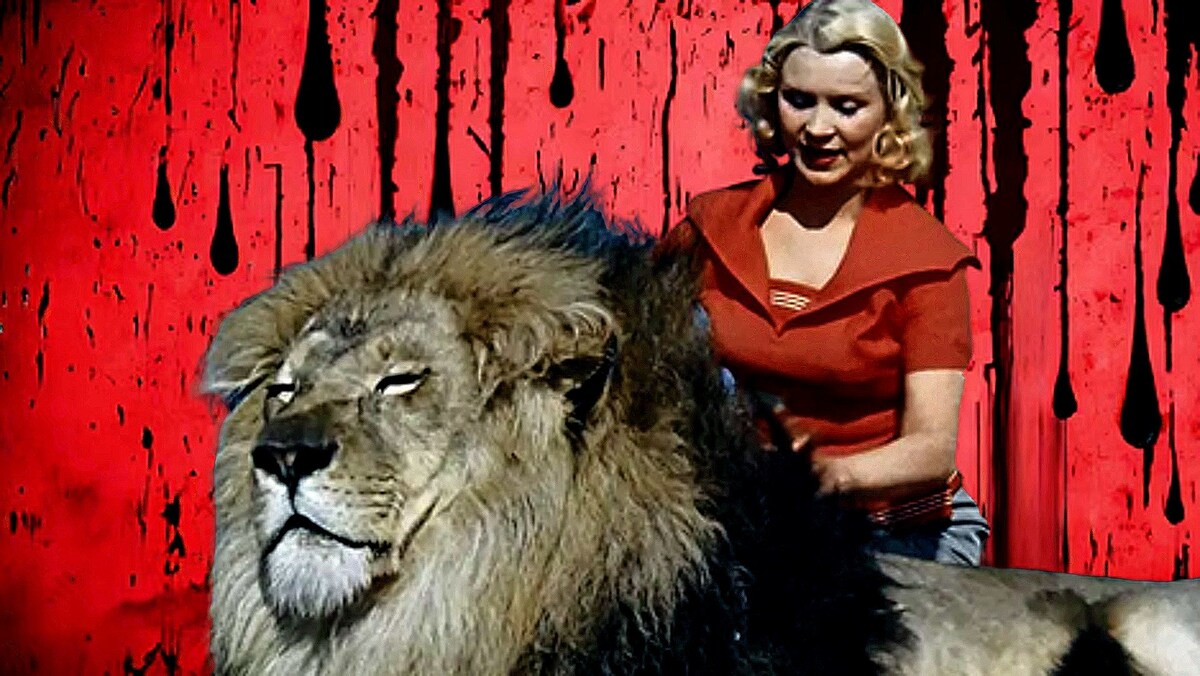 Львенок, не переживай! Скоро ты отправишься в львиный рай.