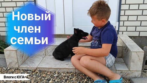 Влоги с ЮГА 🌞 Новый член СЕМЬИ 🐶❤️ Рецепт МАННИКА🥧