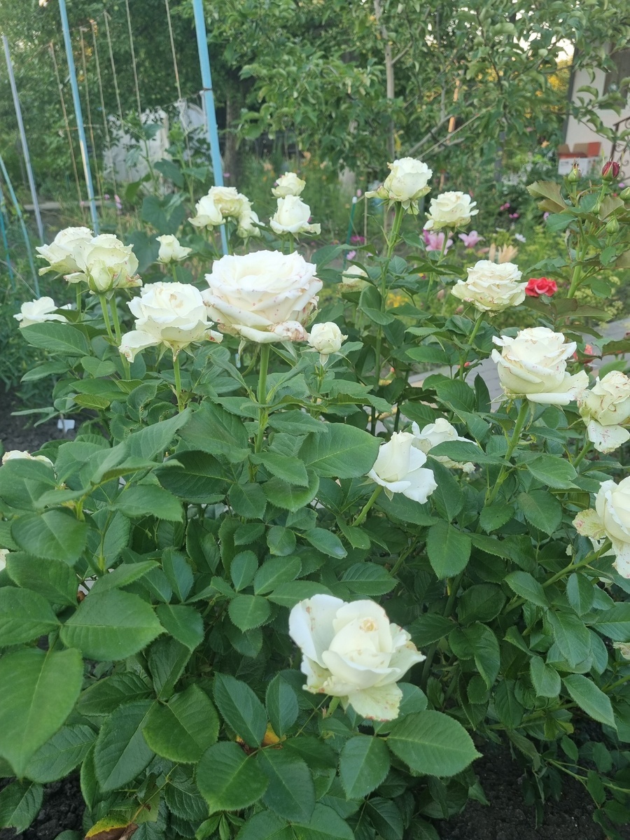 фото Татьяны