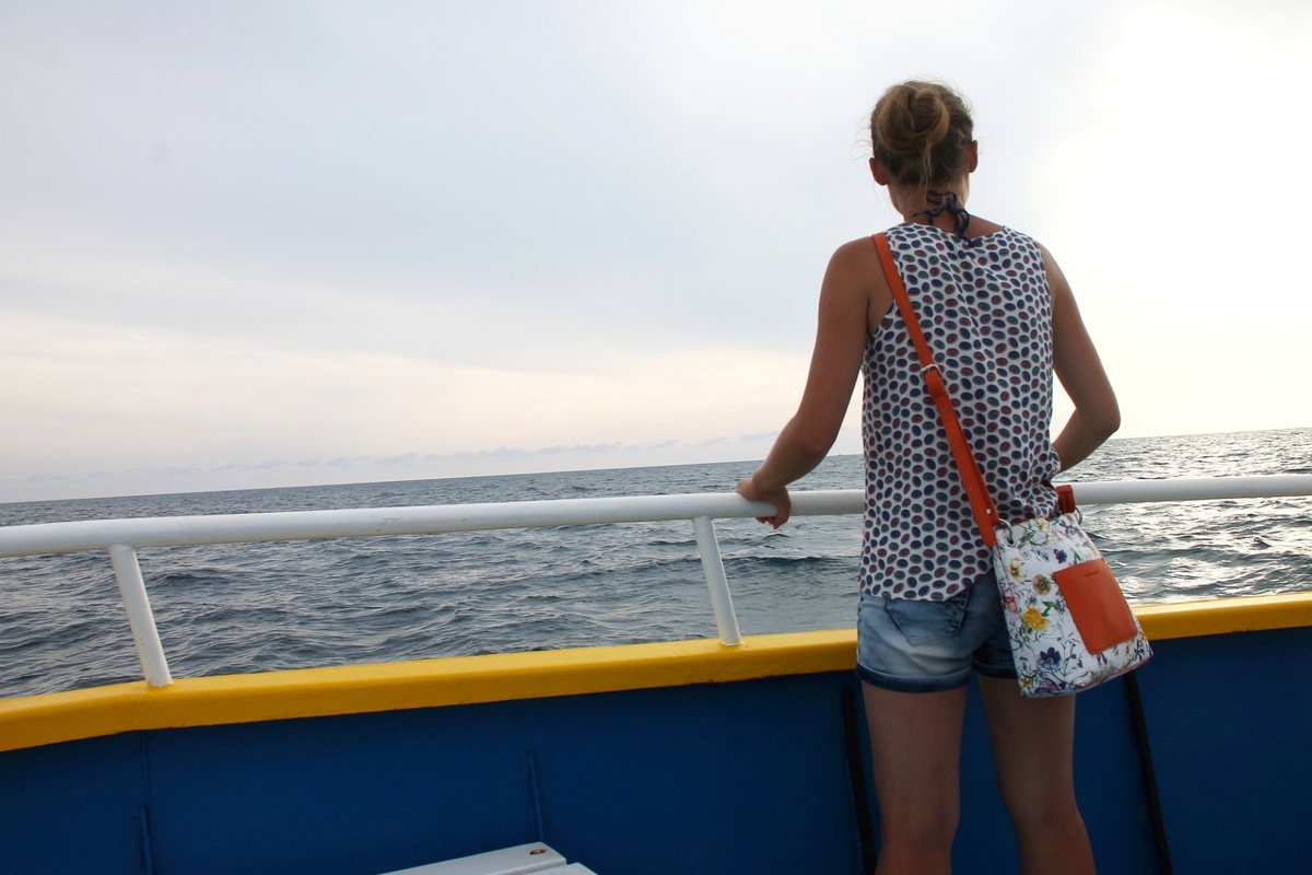 На пути к черепахам