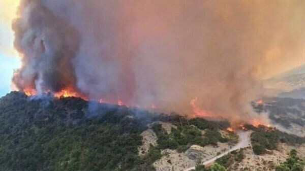    © РИА Новости