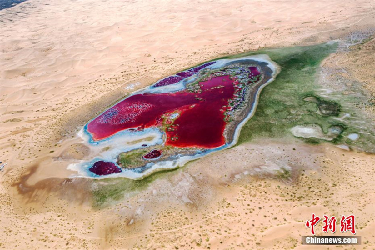    Фотофакт. Уникальное красное озеро в пустыне Северного Китая