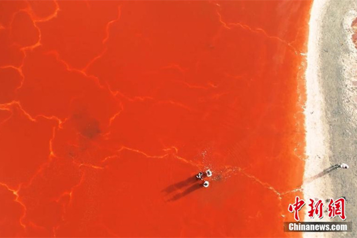    Фотофакт. Уникальное красное озеро в пустыне Северного Китая