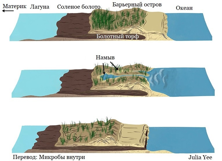 Намыв  происходит, когда песок перемывается через дюны и попадает вглубь  острова. Высокие волны могут толкать воду через дюны, перенося песок с  пляжа в центр острова, а иногда и в болото за островом. Со временем  намыв может помочь барьерным островам продвинуться к материку и остаться  выше уровня моря.
