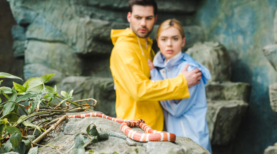    Как избежать укуса змеи во время отдыха на природе? Фото: Depositphotos