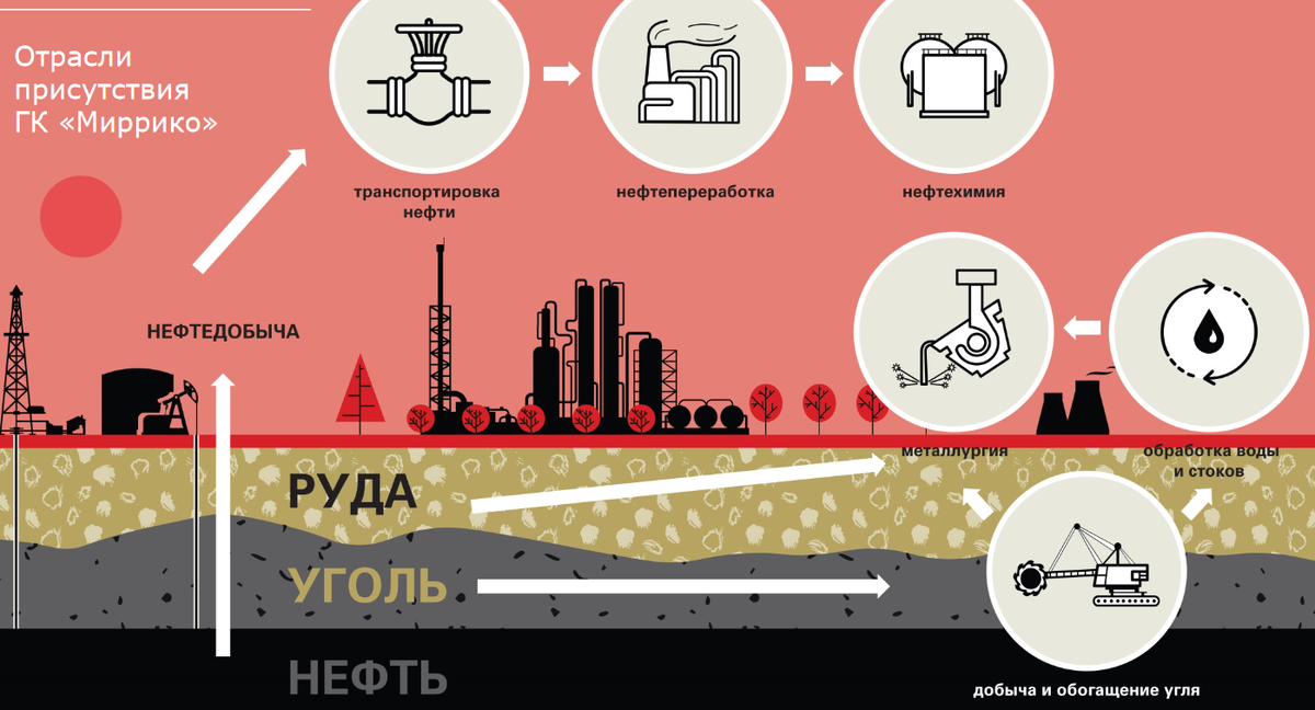 Отрасли присутствия ООО "Миррико". Источник: презентация компании