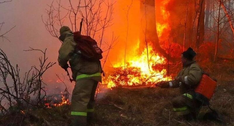    РИА «Новости»