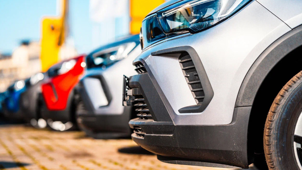    ZEDSPIDER/SHUTTERSTOCK