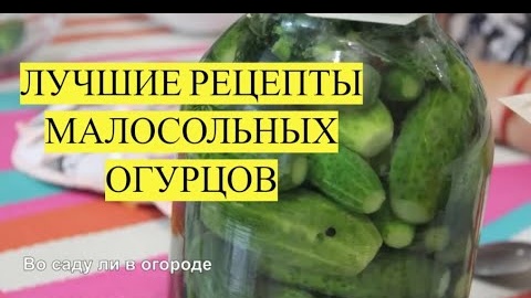 _МАЛОСОЛЬНЫЕ ОГУРЦЫ. ЛУЧШИЕ РЕЦЕПТЫ. Так готовить огурцы должна уметь каждая хозяйка!